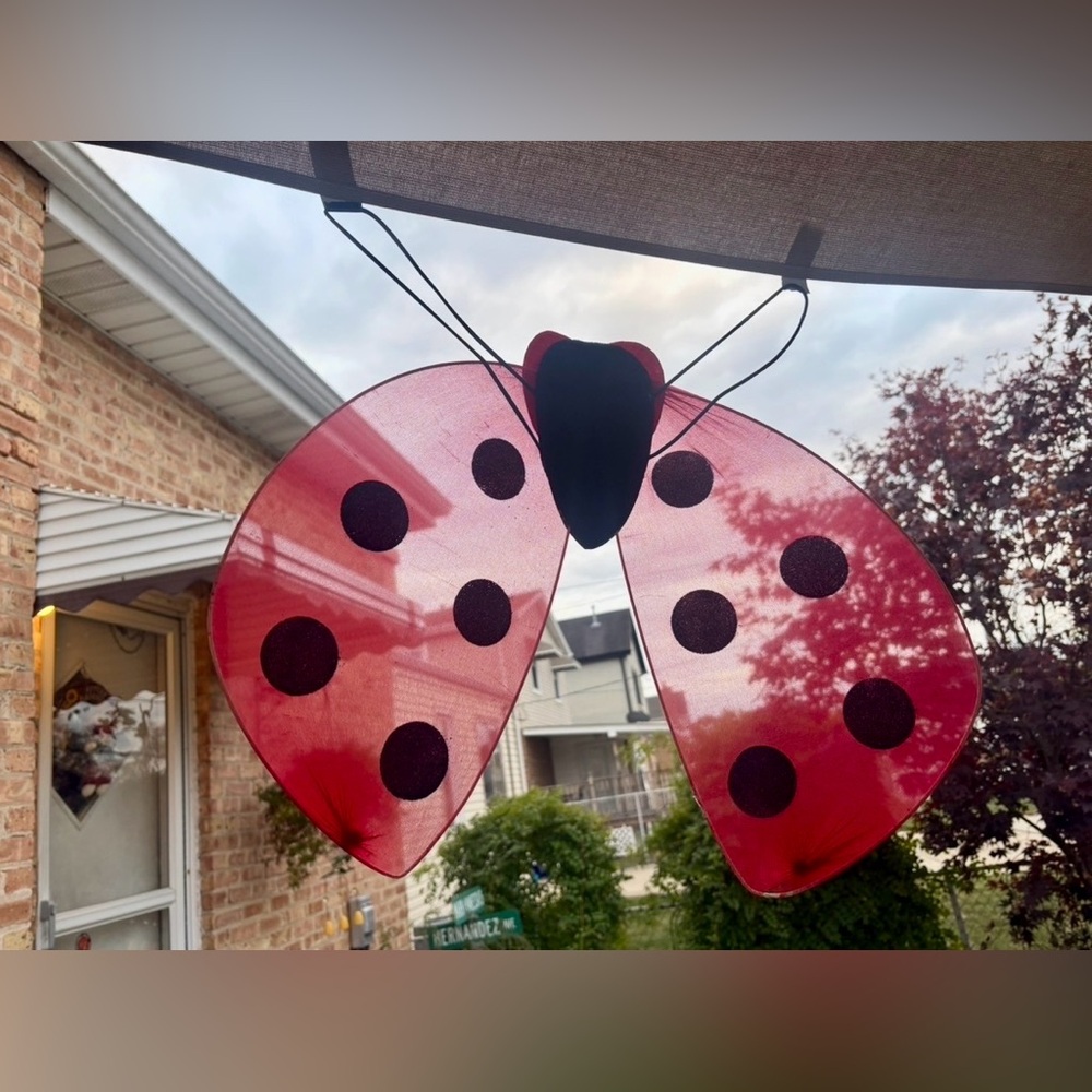 LADYBUG | Costume Set with Wings Headband and Wand | Kids or Adult Size OS - Picture 7 of 15
